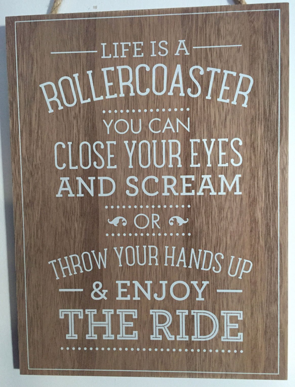 life is a roller coaster, you can close your eyes and scream or throw your hands up and enjoy the ride