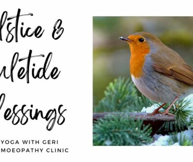 Image of Robin perched on a branch and Words: Solstice and Yuletide Blessings Aurayoga with Geri Aura Homoeopathy Clinic on a white background